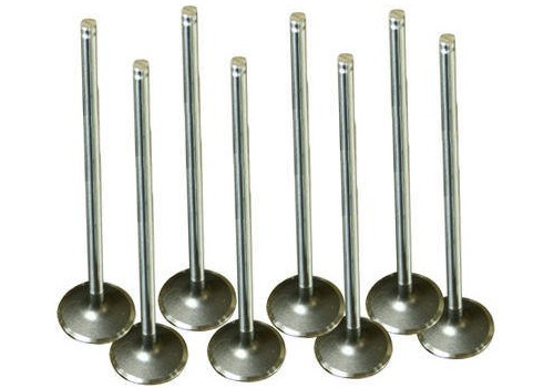 Exhaust Valve Set