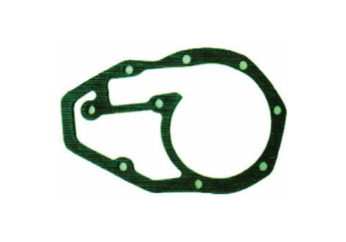 Gasket, Water Pump, Big