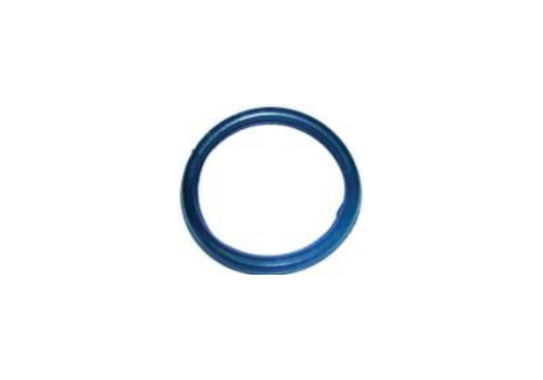 Thermostat Gasket, Big